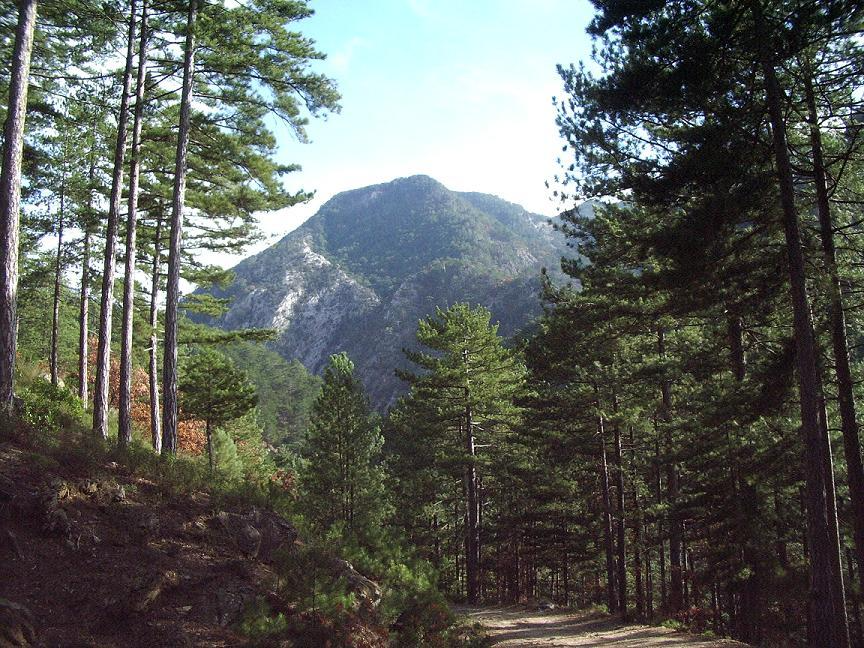 Kaz Dağı (İDA DAĞI) Bayramiç Çanakkale