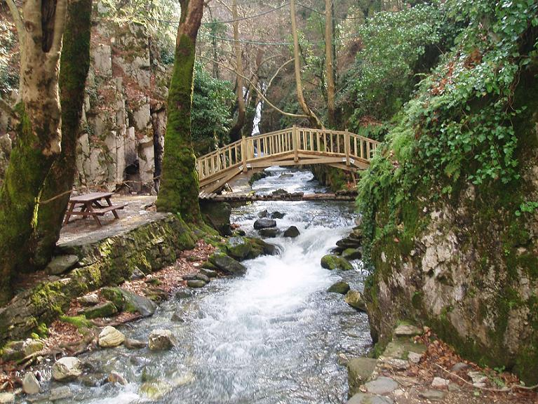 Kaz Dağı (İDA DAĞI) Bayramiç Çanakkale