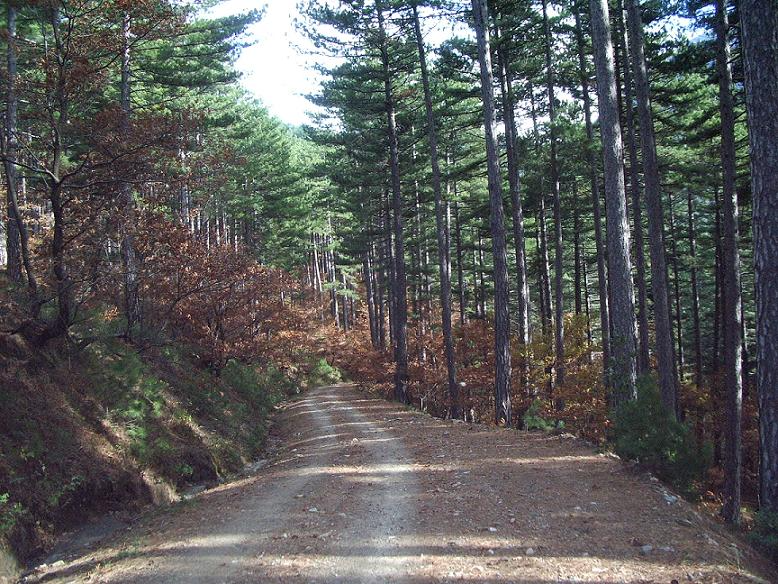 Kaz Dağı (İDA DAĞI) Bayramiç Çanakkale