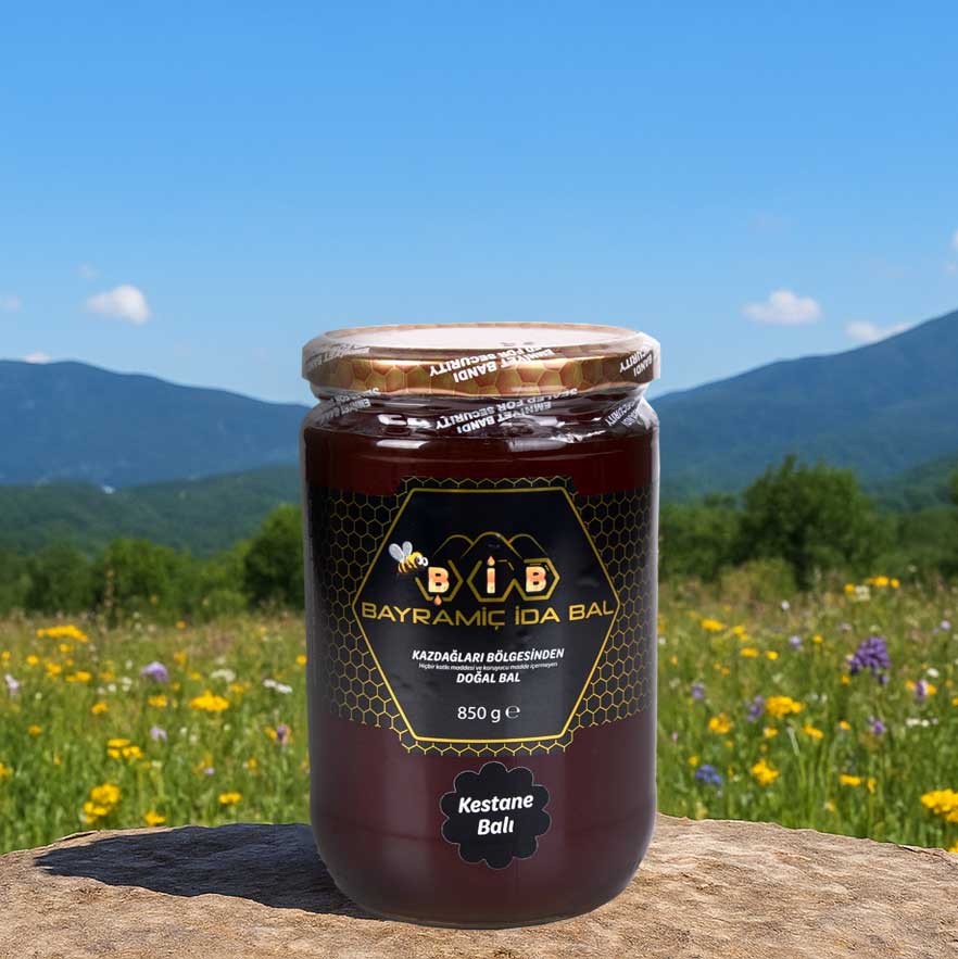 Kazdağları Kestane Balı 850gr - Görsel 2